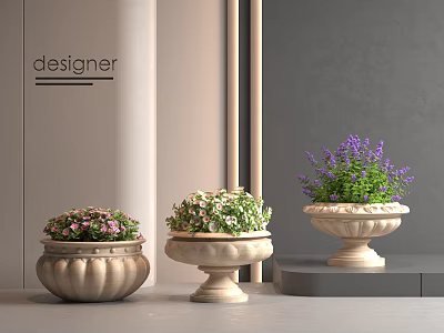 Designer Flower Plants in Decorative Ceramic Pots for Indoor Home Decor 3d model