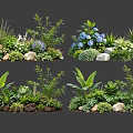 Diverse Garden Plant Combinations With Green Plants Flowers And Decorative Stones