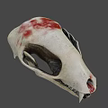 Detailed Animal Skull With Sharp Fangs And Red Marks On Bone Surface