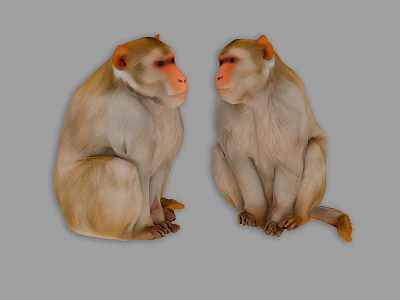 Two Reptiles Sitting Face To Face On Gray Background With Light Brown And White Scales 3d model