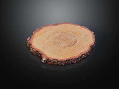 Natural Wooden Round Slice Household Item With Smooth Surface And Bark Edge 3d model