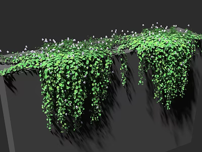 Lush Green Vines Hanging Over Edge With Dense Foliage And White Flowers 3d model