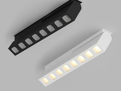 Black and White Linear Downlights and Spotlights with Multiple LED Lamps for Home Lighting 3d model