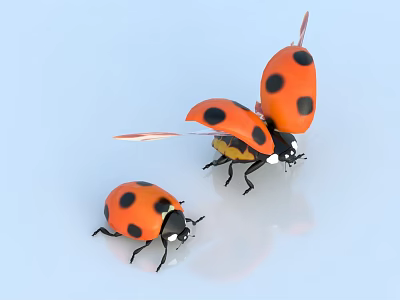 Flying Ladybug and Another Crawling on Light Blue Background with Soft Reflection 3d model