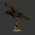 Eagle Large Eagle Owl Raptor Falcon Bird Bird Bird Animal Game Animal 3d model