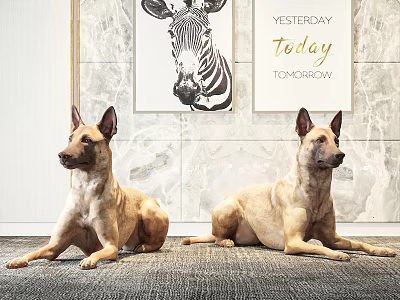 Two Dogs Lying on Carpet with Zebra Art and YESTERDAY TODAY TOMORROW on Marble Wall 3d model