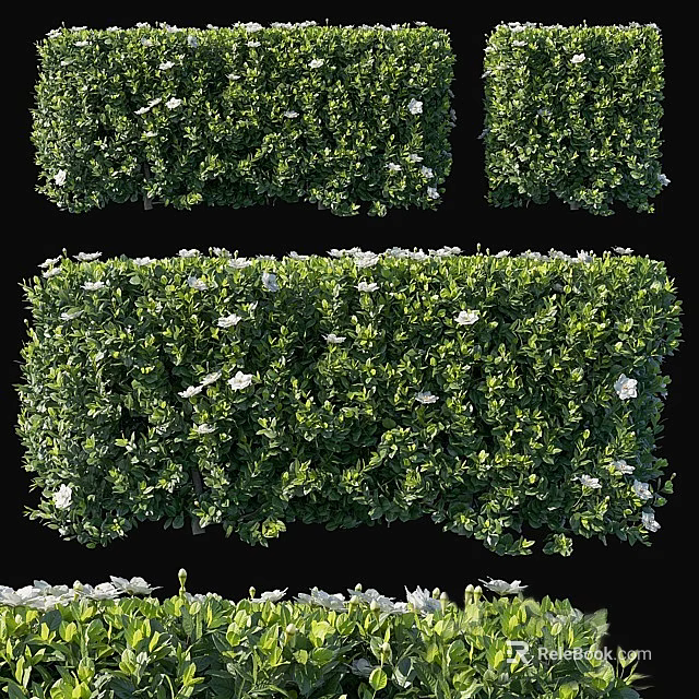 Lush Green Shrubs With White Flowers In Garden Landscaping Design 3d model 