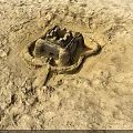 Intricate Sandcastle Structure On Sandy Ground With Detailed Design And Small Openings