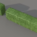 Two Well Trimmed Green Rectangular Shrubs In Block Shape For Garden Landscaping