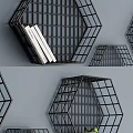 White And Black Hexagonal Grid Design Wall Cabinets With Plants And Books 3d model