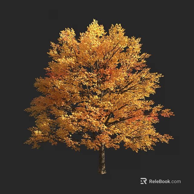 Tall Autumn Arbor With Vibrant Golden Orange Leaves Isolated On Black Background 3d model 