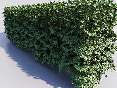 Lush Green Plant Wall As Vertical Garden With Dense Foliage And Natural Design 3d model