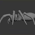 White Spider 3D Model With Detailed Legs Rendered On Dark Background 3d model