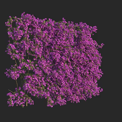 Modern Light Leaf Flower Bougainvillea Triangle Plum Mauber Towel Bougainvillea Triangle 3d model