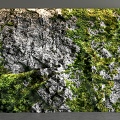 Green plant rubble background wall rock wall green plant wall rubble wall culture stone moss wall 3d model