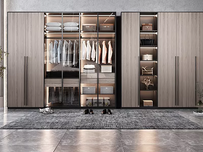 Modern Wardrobe With Wooden Panel Glass Door Hanging Clothes Folded Garments Storage Boxes And Shoes 3d model
