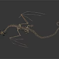 Prehistoric Animal Skeleton Featuring Long Tail Slender Limbs Small Head And Standing Predatory Stance