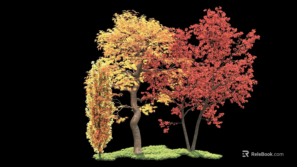 Vibrant Autumn Trees with Yellow Orange and Red Leaves Growing on Green Grass 3d model 