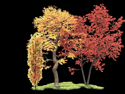 Vibrant Autumn Trees with Yellow Orange and Red Leaves Growing on Green Grass 3d model