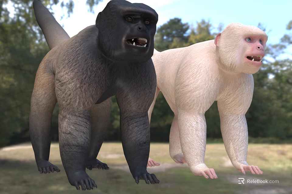 Two Monkeys In Natural Outdoor Environment 3d model 