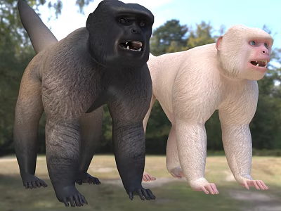 Two Monkeys In Natural Outdoor Environment 3d model