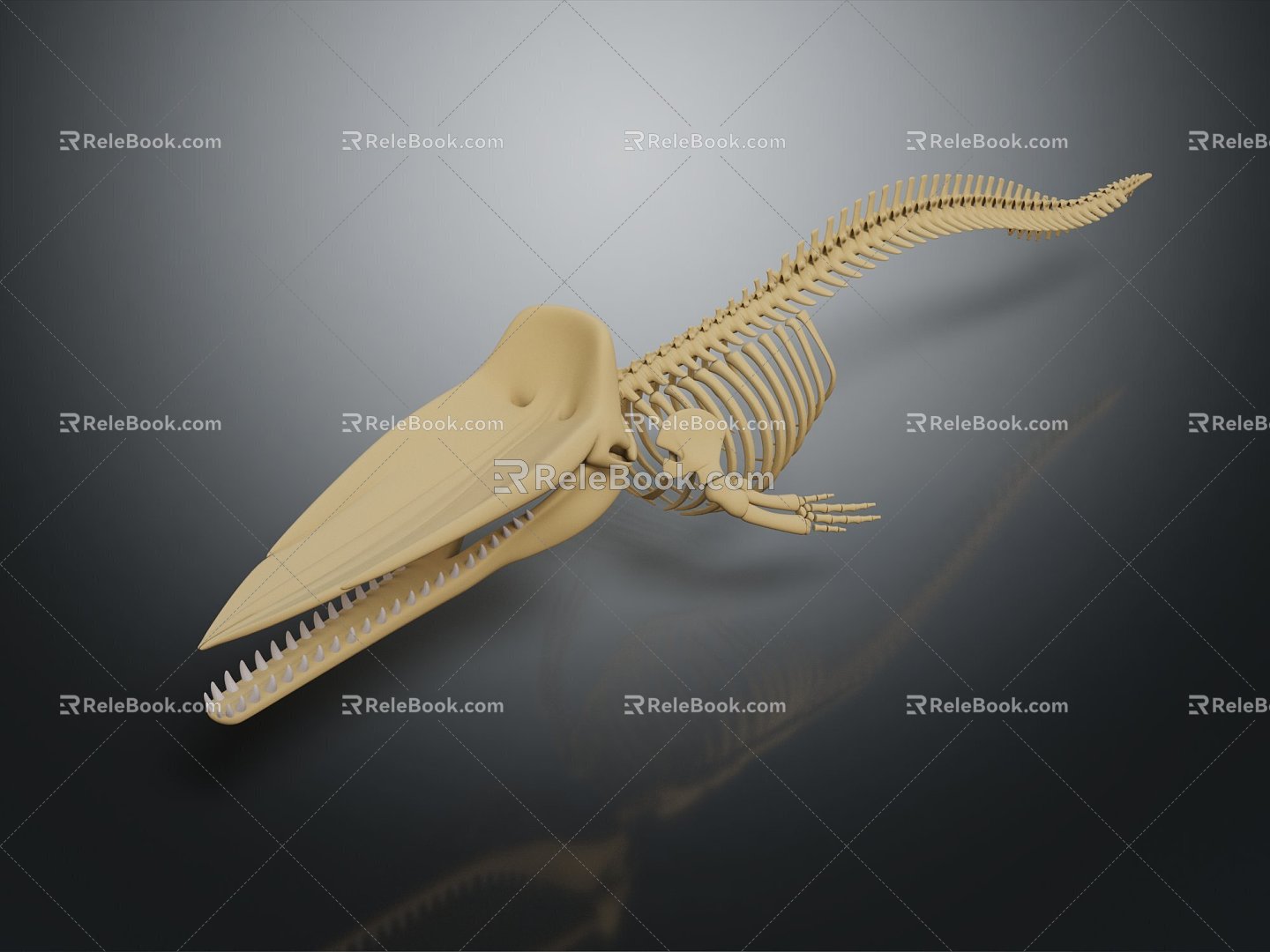 Modern Skeleton Fish Skeleton Whale Skeleton Animal Skeleton 3d model