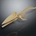 Modern Skeleton Fish Skeleton Whale Skeleton Animal Skeleton 3d model