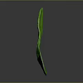 Green Banana Leaf with Vibrant Color and Visible Veins on Dark Background