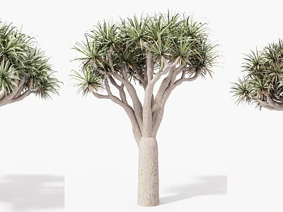 Arbor Tree with Thick Trunk Multiple Branches and Green Foliage Leaves 3d model