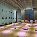 Spacious Yoga Fitness Studio With Pink Yoga Mats Suspension Ropes Mirror Wall And Wooden Floor