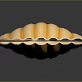 Marine Mollusk Animal Yellow Striped Seashell On Dark Surface With Shiny Reflection