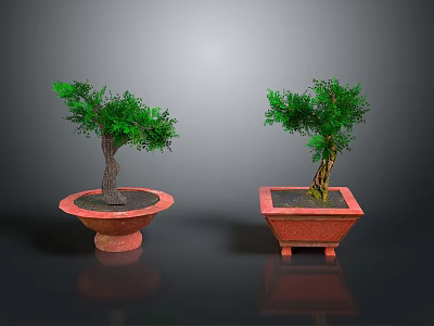 Two Ornamental Potted Green Trees In Round And Square Red Planters On Dark Surface 3d model