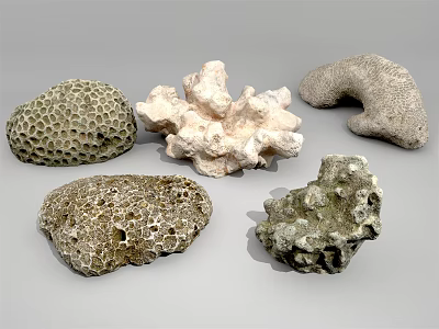Natural Stone And Wood Decorative Pieces With Porous Textures And Unique Shapes 3d model