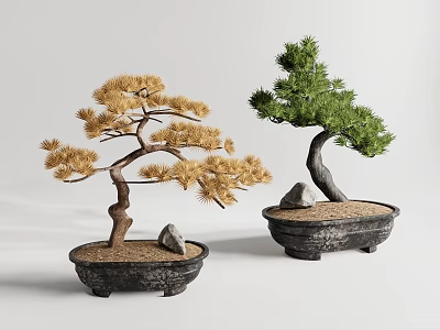 Two Bonsai Trees with Yellow and Green Foliage in Black Pots with Sand and Stones 3d model