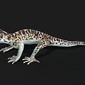 gecko lizard palace animal pet cold-blooded animal reptile 3d model