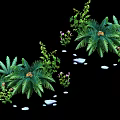 Lush Green Ferns And Purple Flowers With Small Stones In Natural Garden