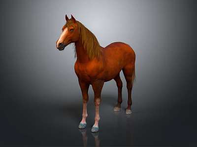 Brown Horse With Golden Mane White Muzzle And Light Colored Hooves Standing Against Gray Background 3d model