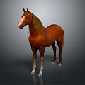 Brown Horse With Golden Mane White Muzzle And Light Colored Hooves Standing Against Gray Background