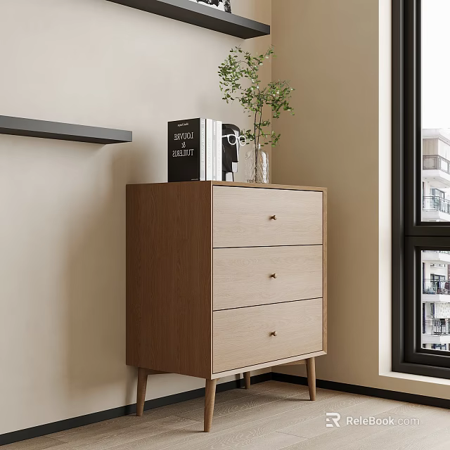 Wooden Chest of Drawers with Three Drawers Books and Potted Plant in Modern Room Interior 3d model 