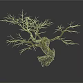 Withered Tree Decorative Ornament With Twisted Trunk And Bare Branches