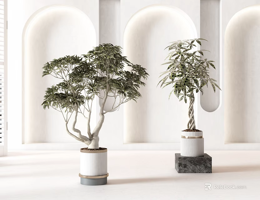Bonsai Potted Plants In Modern Interior With White Arch Walls And Decorative Pots 3d model 