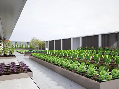 Modern Urban Garden Landscape With Neat Vegetable Beds Green Plants Trees And Architectural Elements 3d model