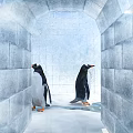 Penguins Near Ice Brick Igloo In Snowy Arctic Landscape With Mountains