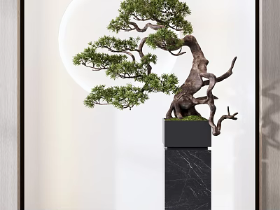 Elegant Bonsai Plant With Unique Pine Branches On Black Marble Stand And Circular White Backdrop 3d model