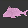 Tropical Fish Colorful Fish Ornamental Fish Aquarium Coral Fish Underwater Fish Color Fish Cartoon Fish Freshwater Fish 3d model