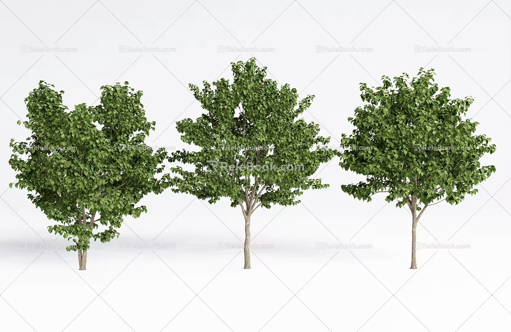 Modern Tree Landscape Tree Courtyard Model Tree 3d model