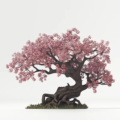 Modern Cherry Tree 3d model Modern Cherry Tree 3d model