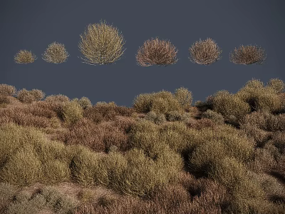 Different Types Of Shrubs In Natural Landscape With Varied Foliage And Color Tones 3d model