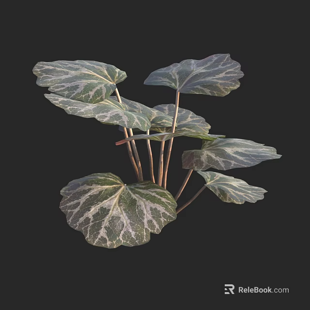 Green Plants With White Striped Leaves And Slender Stems Growing Together 3d model 