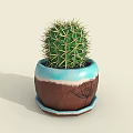 Three Indoor Decorative Cactus Bonsai Plants in Blue Brown Ceramic Pots with Patterns